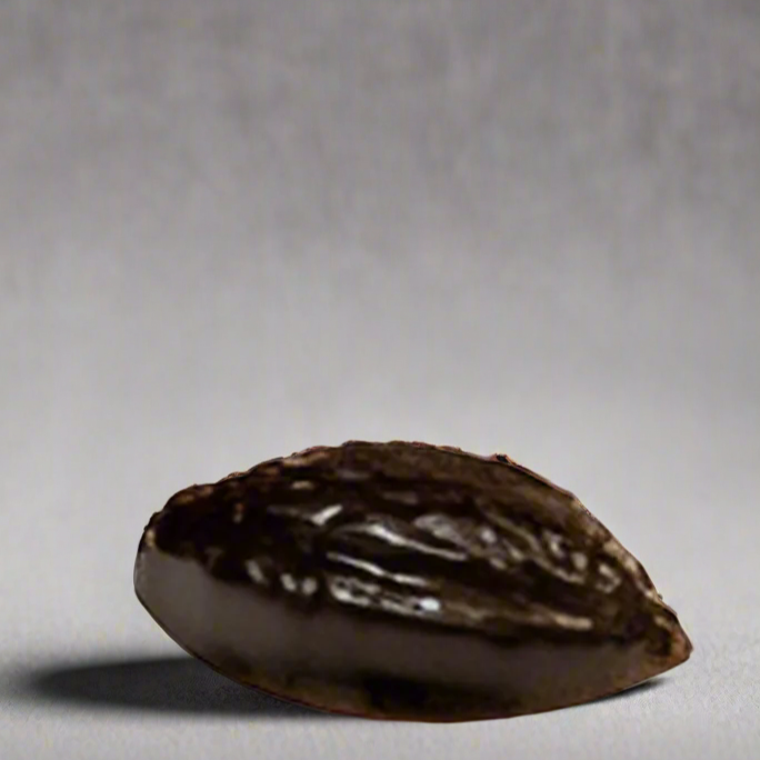 Dark Bean Delight